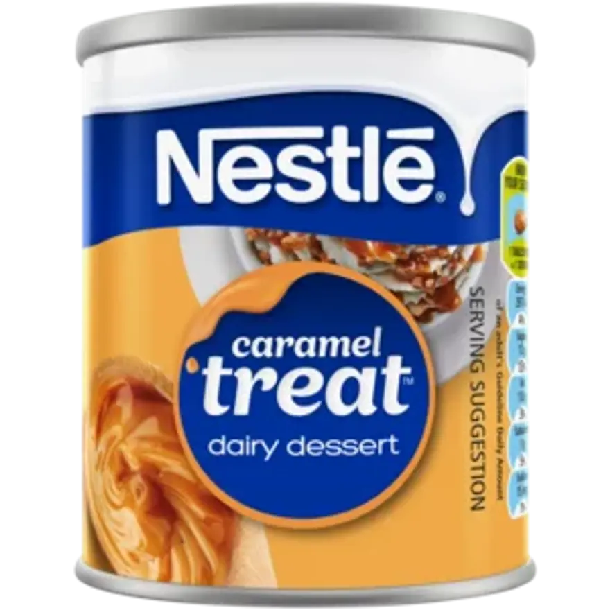 Nestle Caramel Treat Dairy Dessert 360g